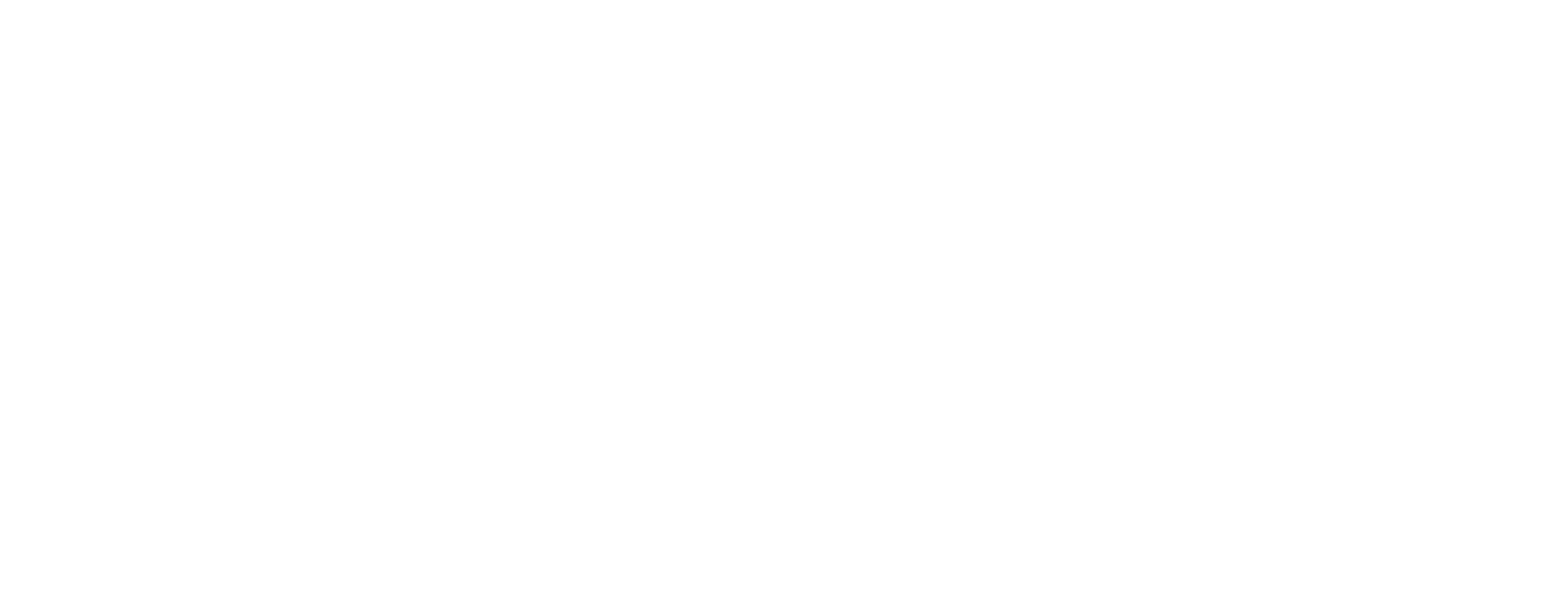 Total News